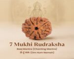 7 Mukhi Rudraksha